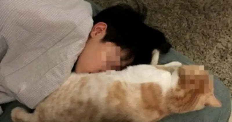 Bài học đắt giá: Cậu bé 14 tuổi suýt mù vì ngủ cùng thú cưng, cảnh báo nguy cơ từ ký sinh trùng Toxoplasma