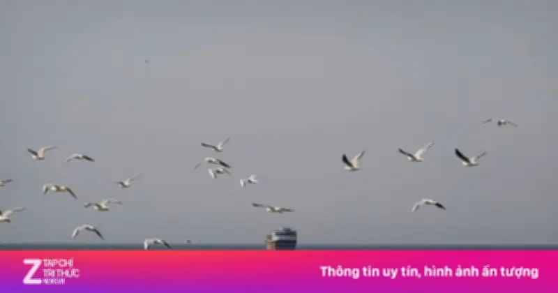 Bài học từ thập niên 1980 có giúp Mỹ giải bẫy thủy lôi Iran ở Hormuz?