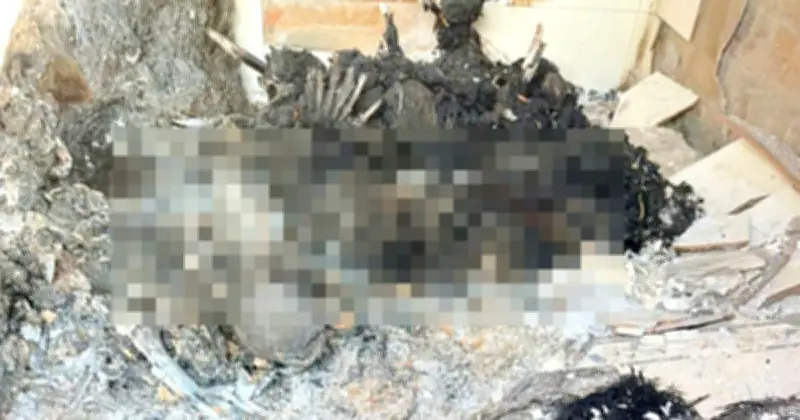 Bi Kịch Gia Đình: Phát Hiện 4 Người Thân Tử Vong Khi Đến Nhà Em Ruột