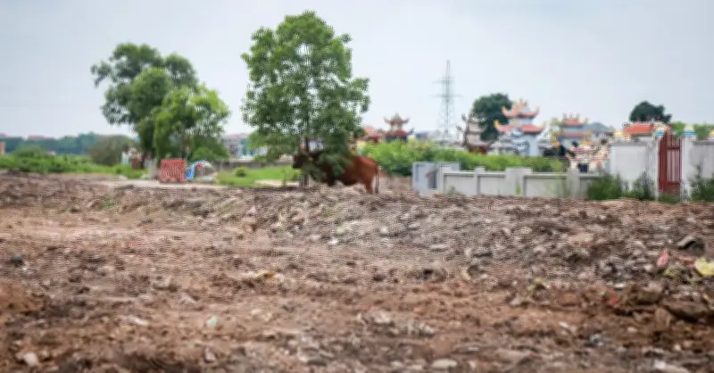 Bãi rác tự phát 20 năm sát nghĩa trang ở Ninh Bình đã được dọn dẹp