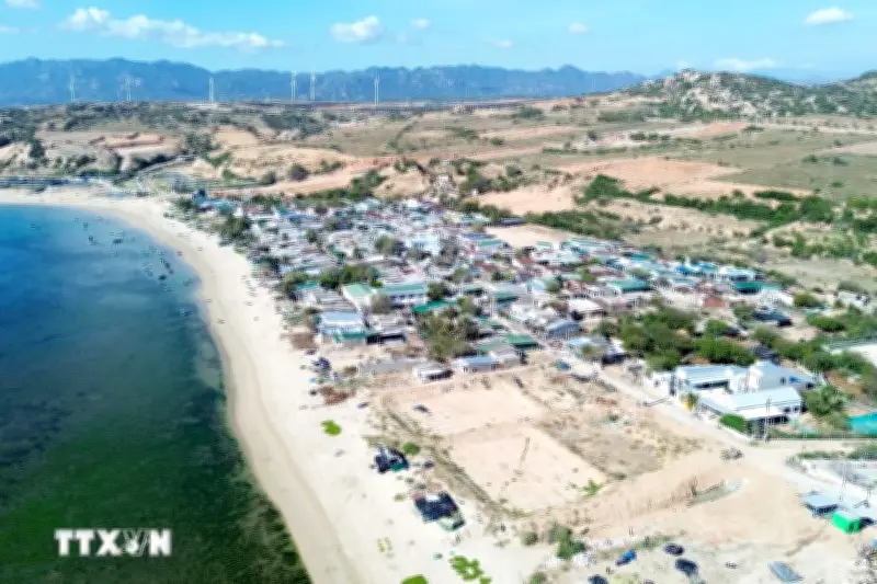 Bồi thường di dời mộ phục vụ dự án nhà máy điện hạt nhân Ninh Thuận 1