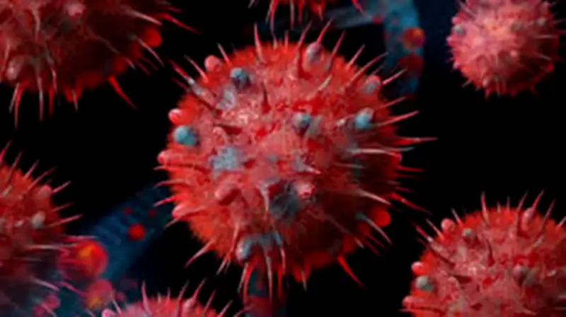 Biến Thể Cúm Super K Lây Lan Nhanh, Australia Đối Mặt Nguy Cơ Bùng Dịch