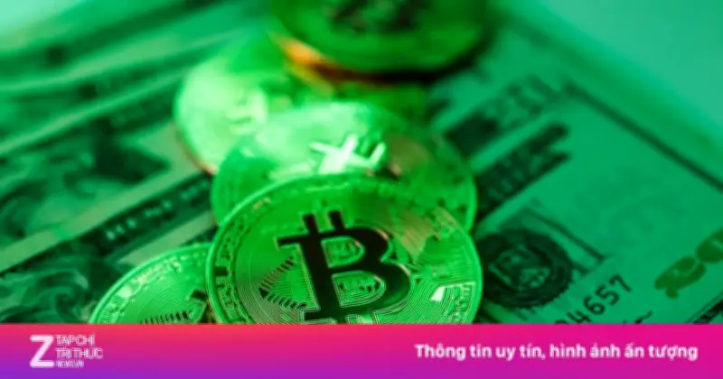 Bitcoin và tiền số bật tăng mạnh nhờ kỳ vọng xung đột Mỹ - Iran hạ nhiệt