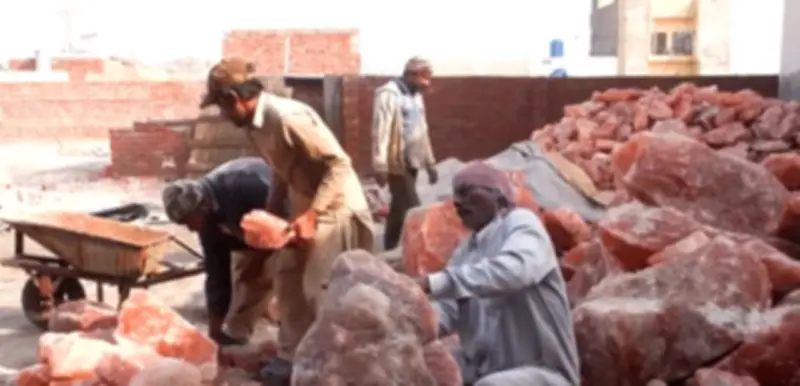 Bên trong mỏ muối Hồng Himalaya lớn nhất thế giới, sản xuất 400.000 tấn mỗi năm