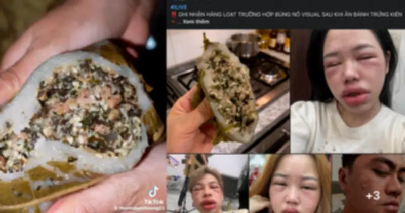 Bánh Trứng Kiến Gây Sốt Mạng Xã Hội: Đặc Sản Hiếm Và Cảnh Báo Dị Ứng
