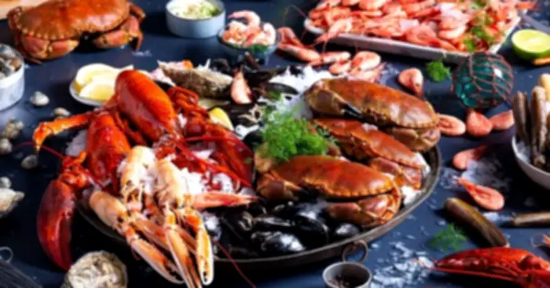 Bảo Nguyên Food: Đối tác hậu cần đáng tin cậy cho hải sản tươi sống tại Đà Nẵng