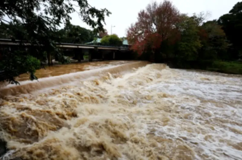 Bão Vaianu Đổ Bộ New Zealand, Gây Mưa Lớn và Nguy Cơ Lũ Quét