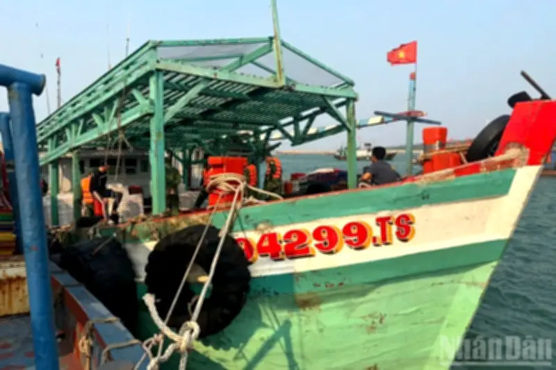 Bắt giữ tàu cá vận chuyển 10.000 lít dầu DO không rõ nguồn gốc tại vùng biển Bạch Long Vĩ