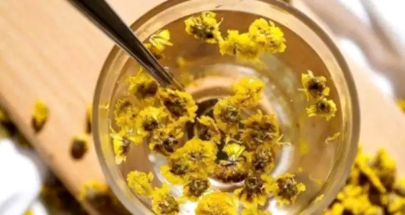 Bất ngờ từ việc uống trà hoa cúc mỗi ngày: Lợi ích sức khỏe không ngờ