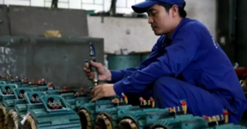 BTH Báo Lỗ Nặng Năm 2025: Doanh Thu Sụt 85%, Cổ Tức Vẫn Cao Ngất 250%