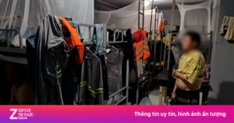 BYD bị Brazil đưa vào danh sách đen vì bê bối lao động 'kiểu nô lệ'