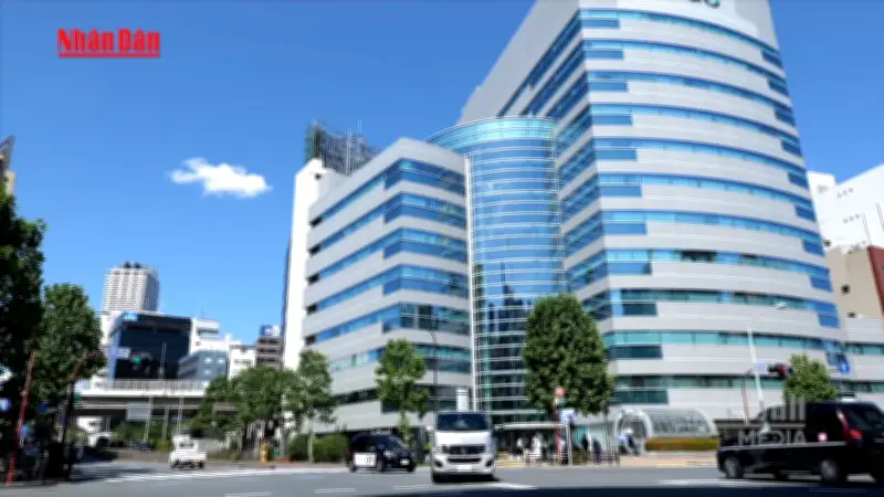 Cụ Bà 80 Tuổi Bị Đối Tượng Giả Danh Cảnh Sát Lừa 75 Triệu USD