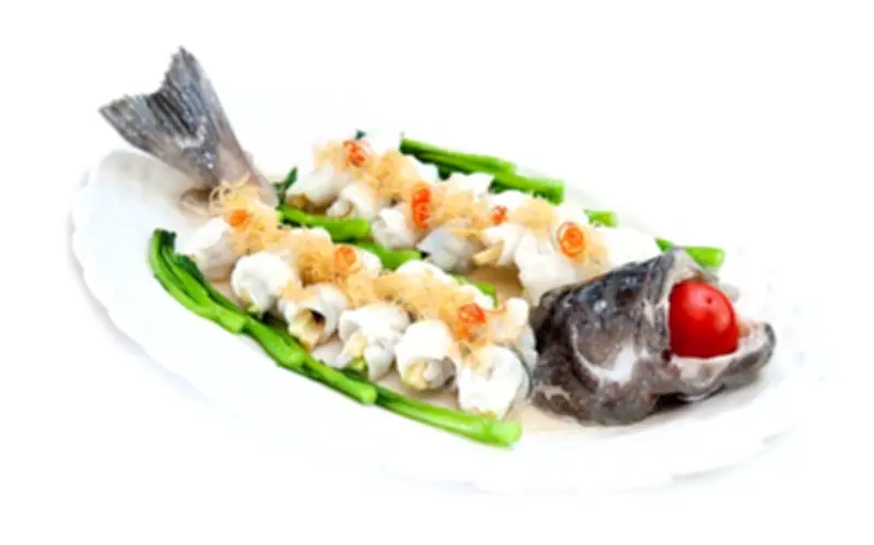 Cá Chẽm: Siêu Thực Phẩm Đa Dinh Dưỡng Cho Mọi Lứa Tuổi