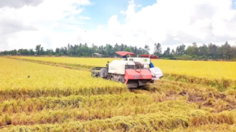 Cơ cấu lại sản phẩm và chuyển sang thị trường cao cấp để chặn đà giảm giá nông sản