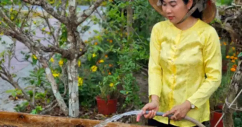 Cô gái ĐH Cần Thơ khởi nghiệp từ trái mù u, tạo dầu thảo dược giá trị cao