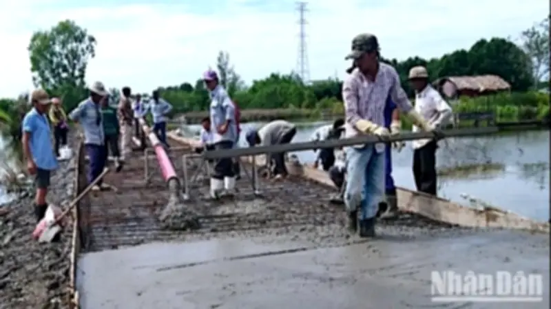 Cà Mau: Giá Vật Liệu Xây Dựng Tăng 40%, Doanh Nghiệp Đối Mặt Nguy Cơ Thua Lỗ Nặng