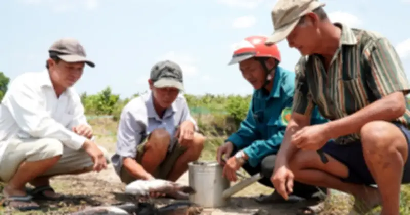 Cà Mau: Hàng loạt cá chết do thi công sân bay, người dân thiệt hại nặng