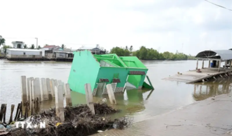 Cà Mau khẩn trương khắc phục các điểm sạt lở nghiêm trọng tại xã Đất Mũi