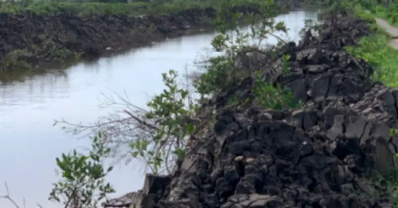 Cà Mau kiểm điểm nguyên Trưởng phòng Tài nguyên - Môi trường liên quan dự án thủy lợi sai phạm