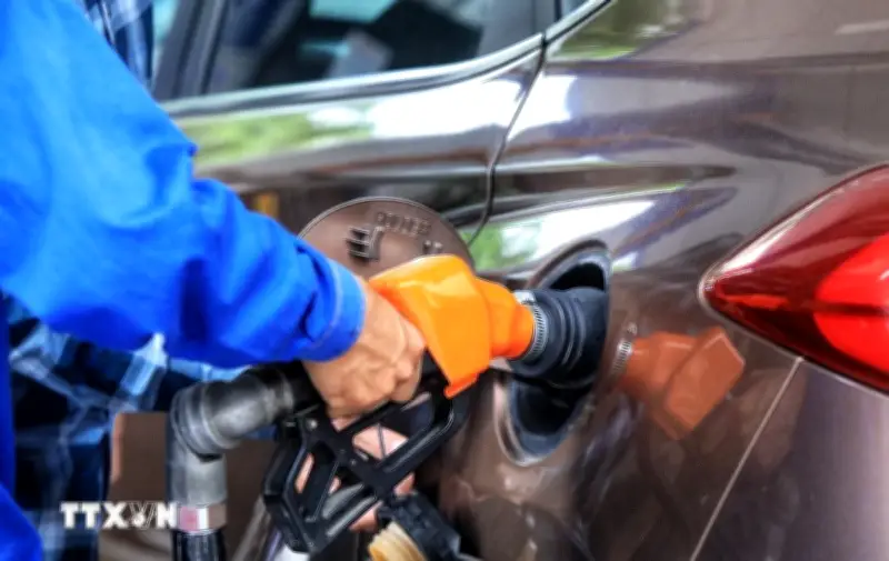 Cà Mau kiểm tra 2.424 giờ tại các cửa hàng bán lẻ xăng dầu chống buôn lậu