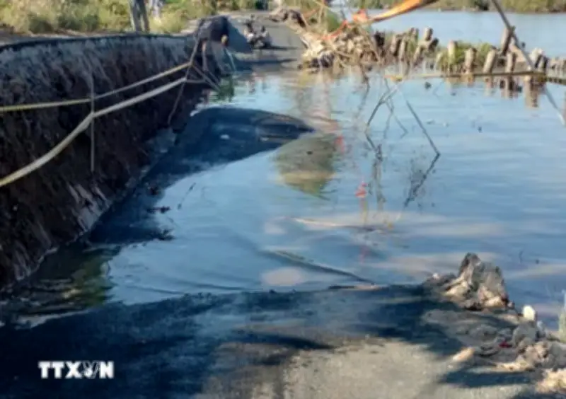 Cà Mau: Sạt lở làm sụp lún lộ giao thông ở xã Cái Nước