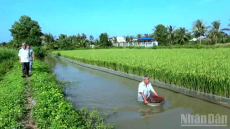 Cà Mau Tổ Chức Cuộc Thi Gạo Ngon Để Thúc Đẩy Nông Nghiệp Xanh Và Bền Vững
