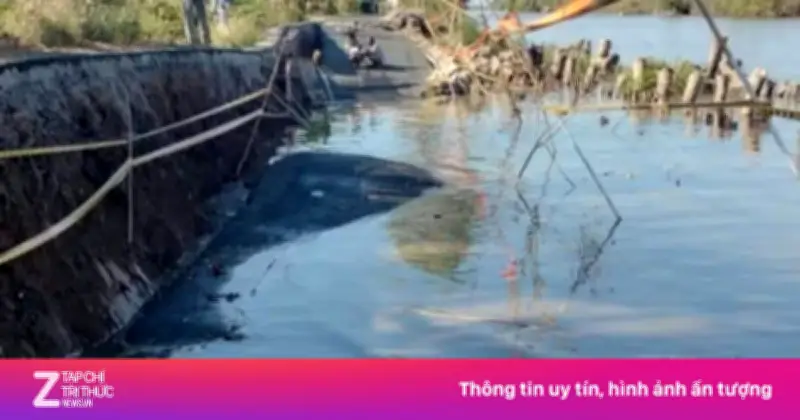 Cà Mau: Tuyến đường mới sửa hơn 1 năm lại sụt lún nghiêm trọng