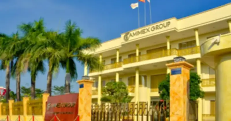 Cổ phiếu CMX của Camimex Group tiếp tục bị cảnh báo do lợi nhuận âm