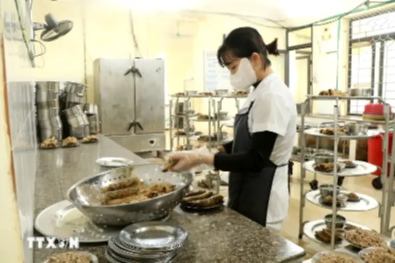 Cơ sở cung cấp thực phẩm cho trường học phải ký cam kết đảm bảo an toàn