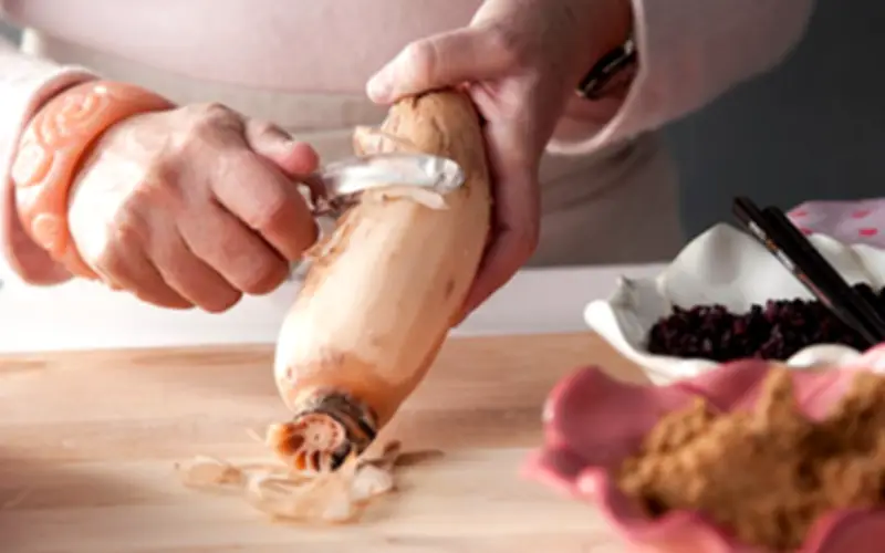 Củ Sen: Thần Dược Từ Bùn Với Lợi Ích Sức Khỏe Vượt Trội Và Món Ăn Hấp Dẫn