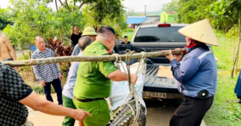 Cá sấu lớn bất ngờ xuất hiện trong khu dân cư ở Quảng Ninh, gây hoảng loạn