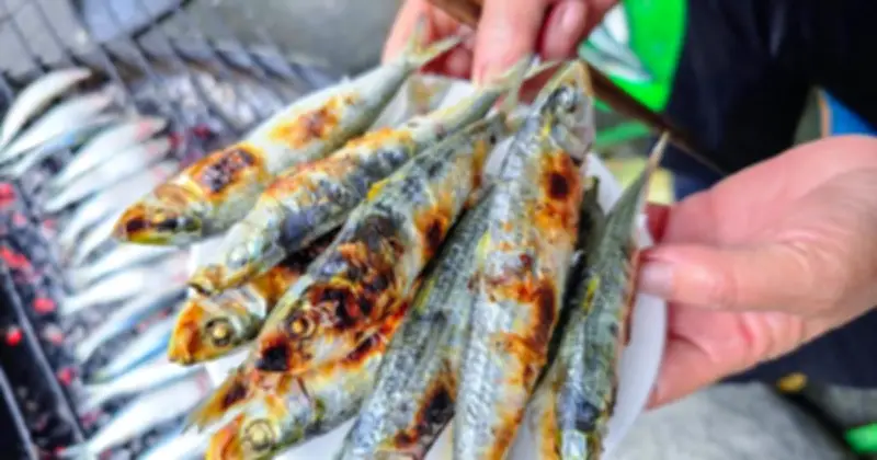 Cá Trích Vào Mùa: 'Lộc Biển' Giúp Ngư Dân Kiếm Triệu, Giàu Omega-3 Hơn Cá Hồi