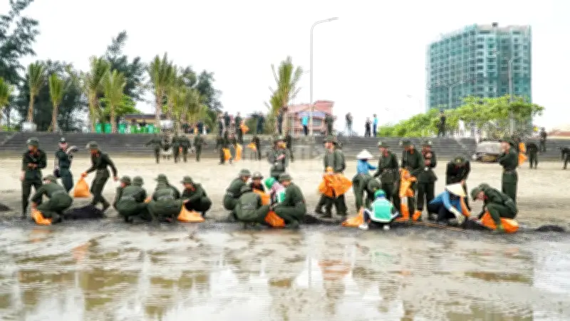 Cửa Lò ra quân làm sạch biển và giải tỏa điểm nghẽn giao thông trước Festival 2026