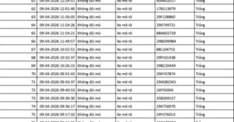 Camera AI Phát Hiện Gần 30.000 Lượt Vi Phạm Giao Thông Trong 24 Giờ
