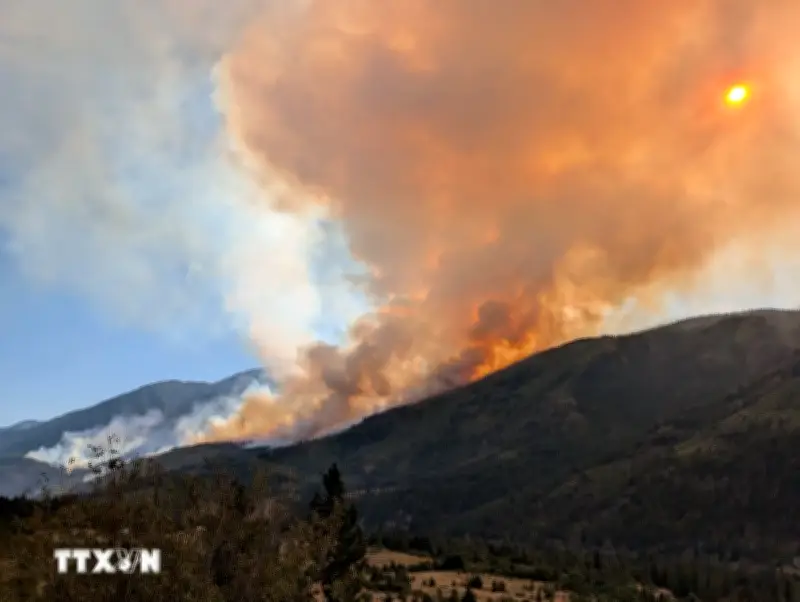 Canada Đối Mặt Nguy Cơ Cháy Rừng Nghiêm Trọng Do Hạn Hán Và Biến Đổi Khí Hậu