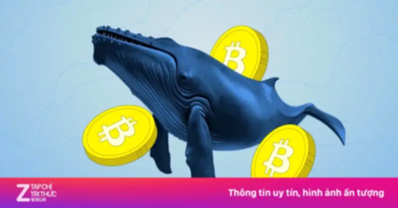 Các 'cá voi' Bitcoin đảo chiều bán ròng mạnh, tạo áp lực kéo dài lên thị trường