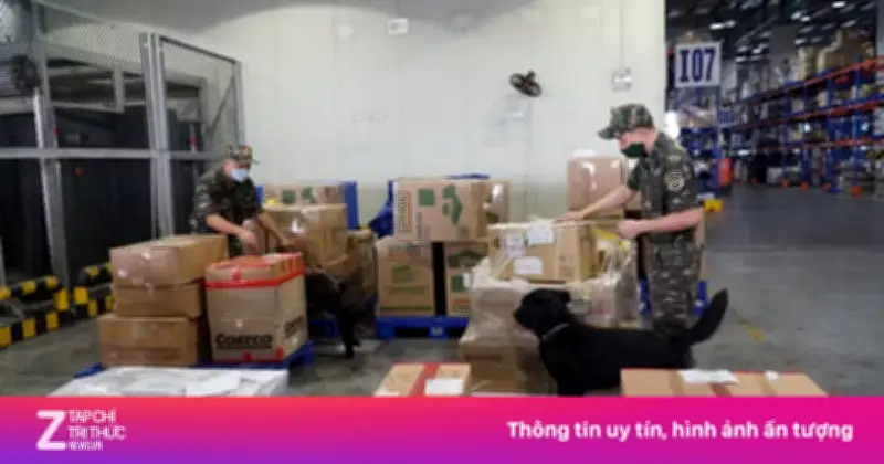 Cục Hải Quan Phát Hiện Gần 9.000 Vụ Buôn Lậu, Gian Lận Thương Mại Dịp Tết