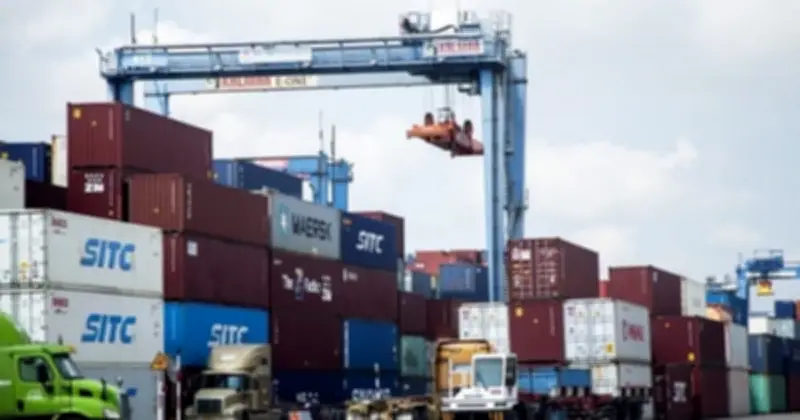 Cục Hải Quan Yêu Cầu Rà Soát Việc Khai Báo 100% Thành Phần Hóa Chất Nhập Khẩu