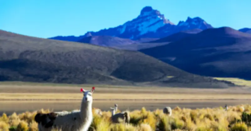 Các điểm đến miễn visa cho du khách Việt Nam năm 2025