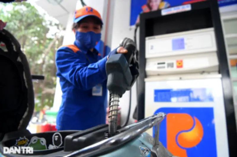 Cục Thuế phát hiện doanh nghiệp xăng dầu có dấu hiệu bất thường, yêu cầu kiểm tra đột xuất