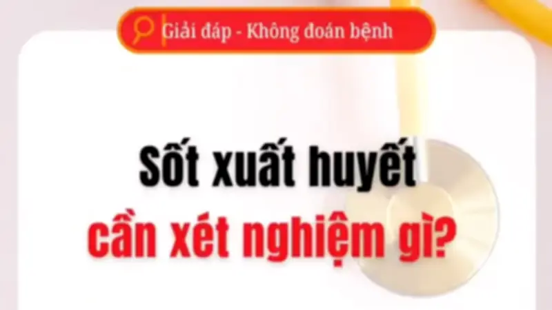 Các Xét Nghiệm Cần Thiết Để Phát Hiện Sốt Xuất Huyết Chính Xác