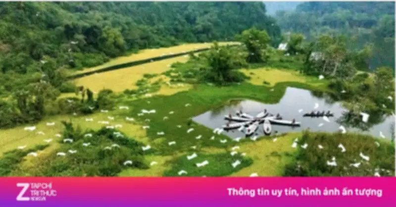 Chủ đầu tư Thung Nham phủ nhận tin đồn chuyển nhượng giá triệu USD