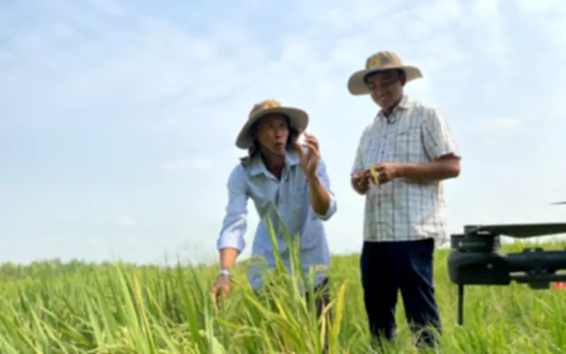 Chương trình Nông thôn mới đạt kết quả ấn tượng, chuẩn bị giai đoạn mới 2026-2030