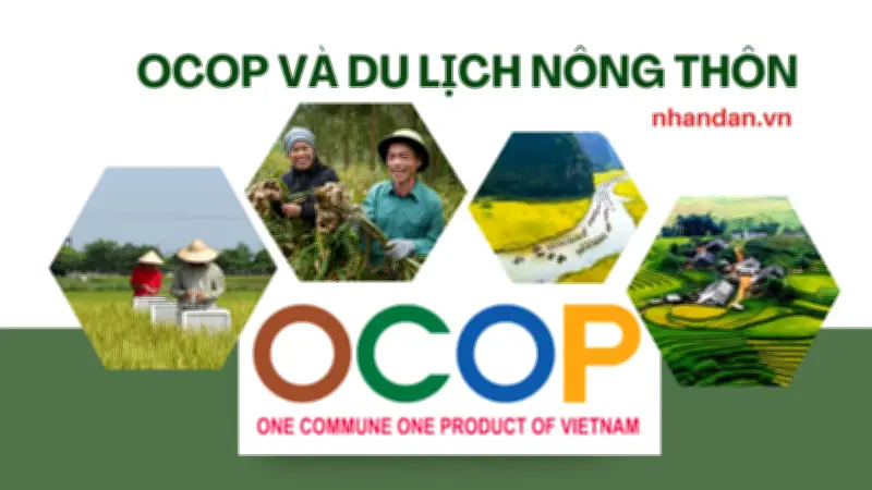 Chương trình OCOP và du lịch nông thôn tạo động lực phát triển bền vững
