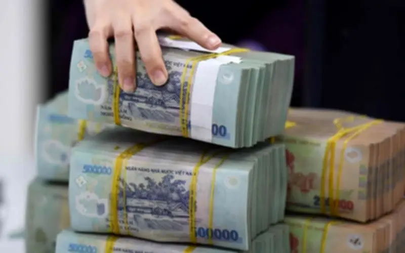 Chương Trình VREF: Đầu Tư 1 Tỷ Đồng/Năm Cho Nghiên Cứu Sinh Xuất Sắc