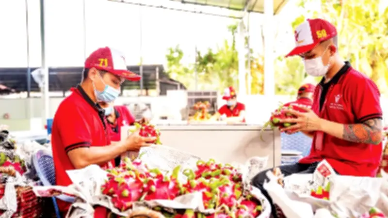 Chính phủ ban hành Nghị định phát triển Halal, doanh nghiệp Việt cần đáp ứng tiêu chuẩn Indonesia trước tháng 10/2026