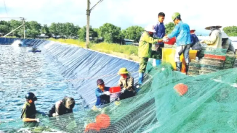 Chính phủ ban hành Nghị quyết 85 thúc đẩy nông nghiệp, nông dân, nông thôn đến 2030