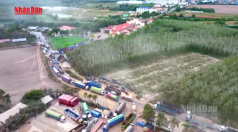 Chính phủ tiếp tục tạm ngừng áp dụng Nghị định 46 về an toàn thực phẩm