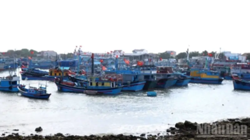 Chính sách hỗ trợ chuyển đổi nghề, giải bản tàu cá: Hướng đi chiến lược cho ngành thủy sản bền vững