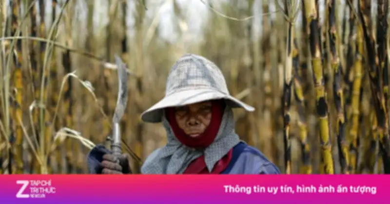 Châu Á đối mặt với đợt El Nino mạnh nhất trong lịch sử
